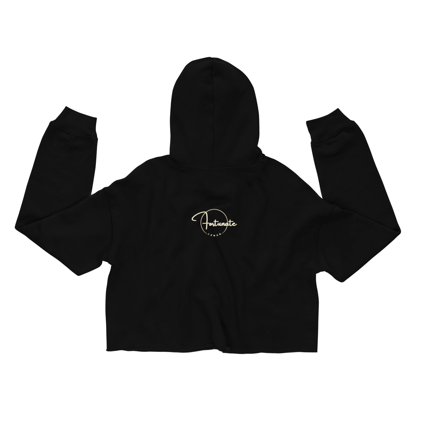 Courageous Crop Hoodie