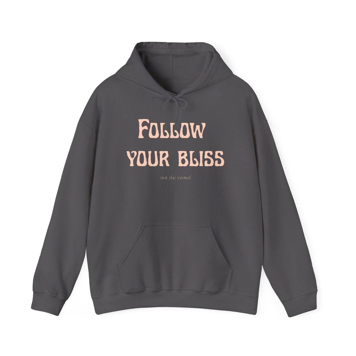 Hoodie — "Follow Your Bliss" Cozy Inspirational Pullover - Fortunate Lemon Shop