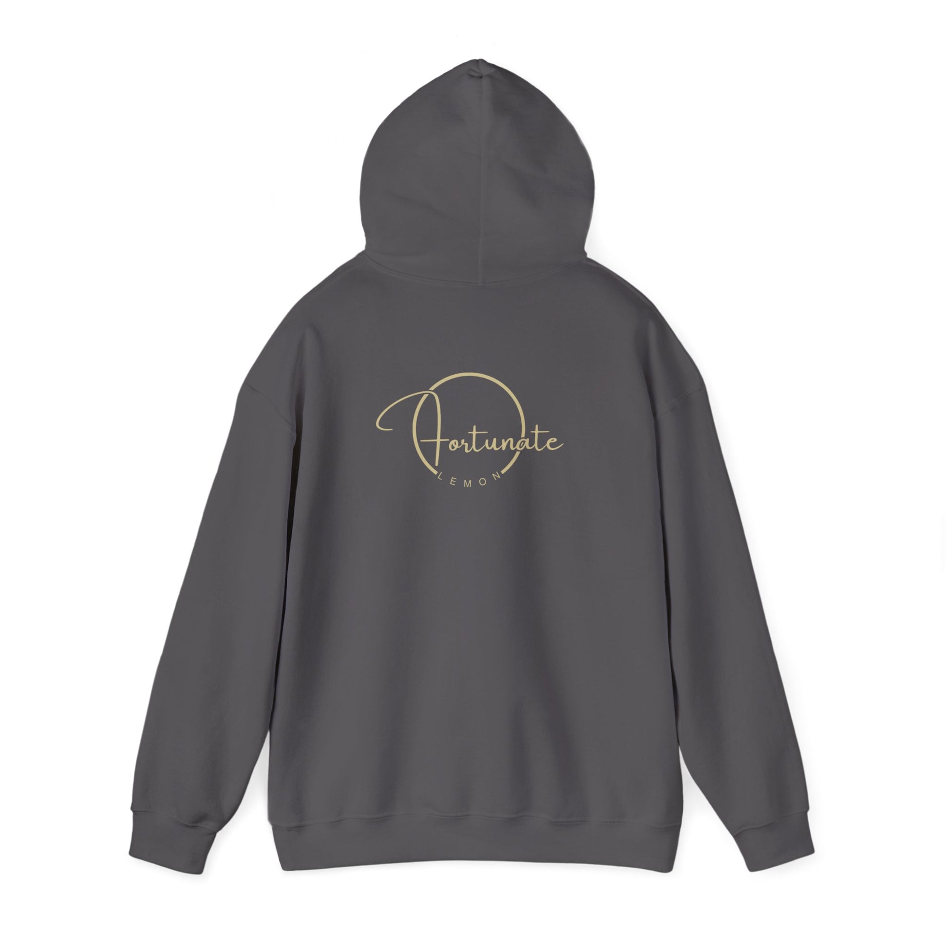 Hoodie — "Follow Your Bliss" Cozy Inspirational Pullover - Fortunate Lemon Shop