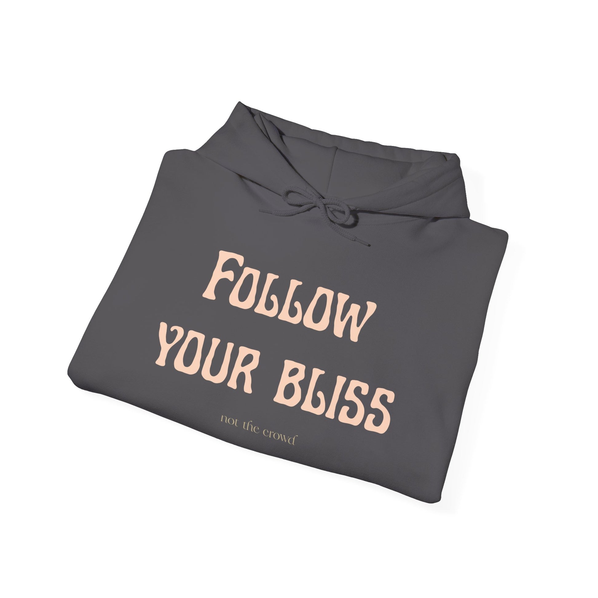 Hoodie — "Follow Your Bliss" Cozy Inspirational Pullover - Fortunate Lemon Shop