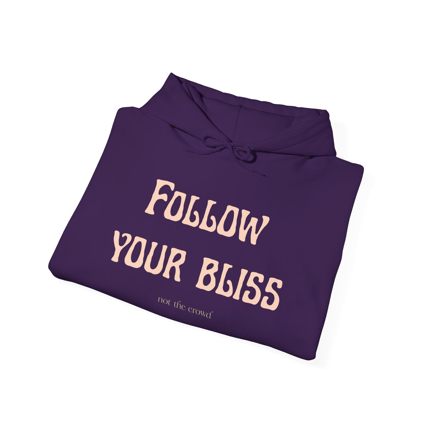 Hoodie — "Follow Your Bliss" Cozy Inspirational Pullover - Fortunate Lemon Shop