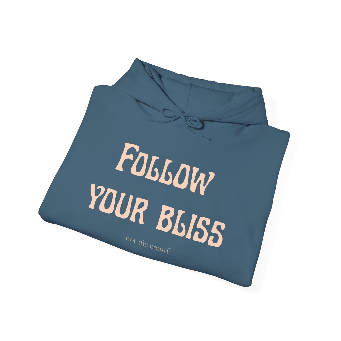 Hoodie — "Follow Your Bliss" Cozy Inspirational Pullover - Fortunate Lemon Shop