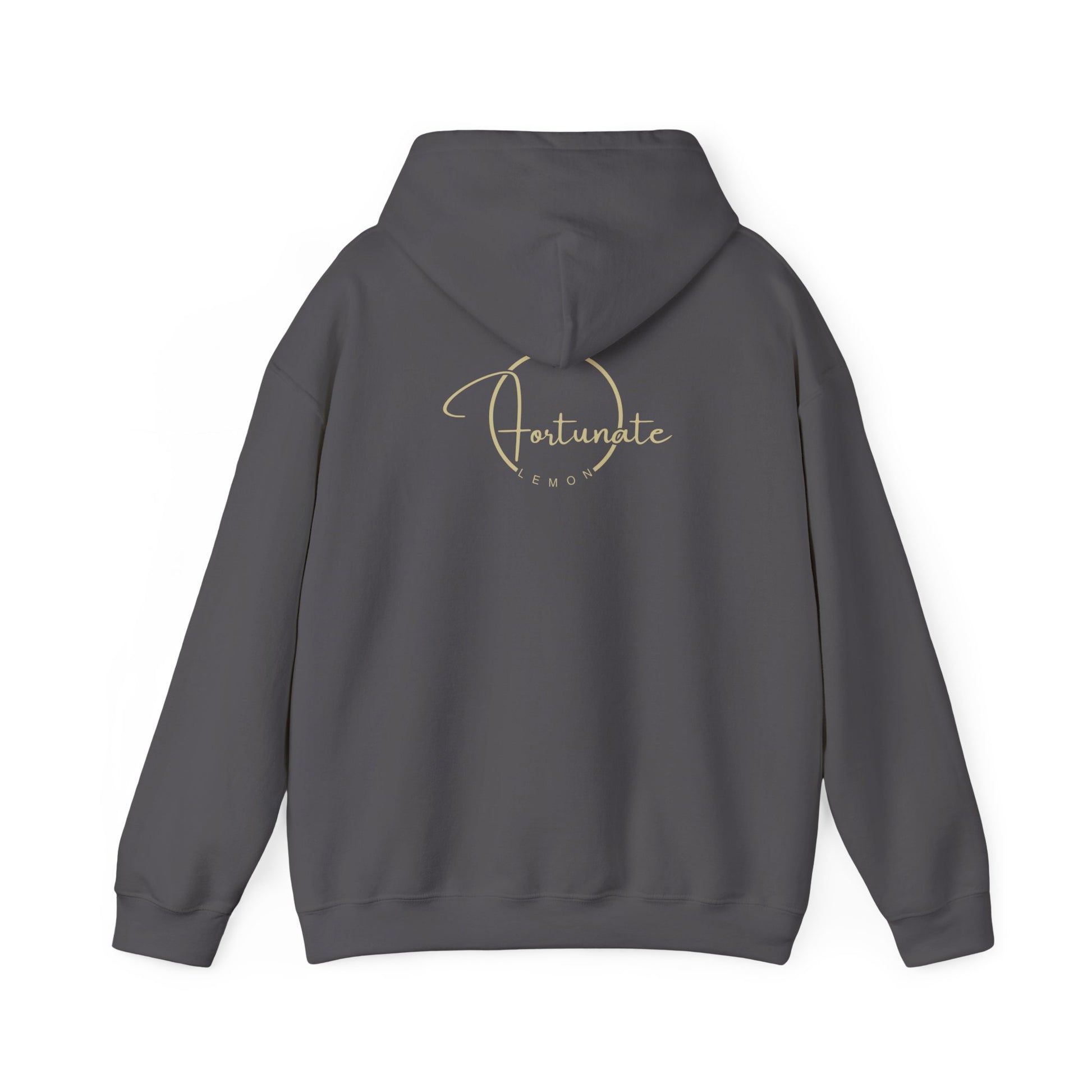 Hoodie — "Follow Your Bliss" Cozy Inspirational Pullover - Fortunate Lemon Shop