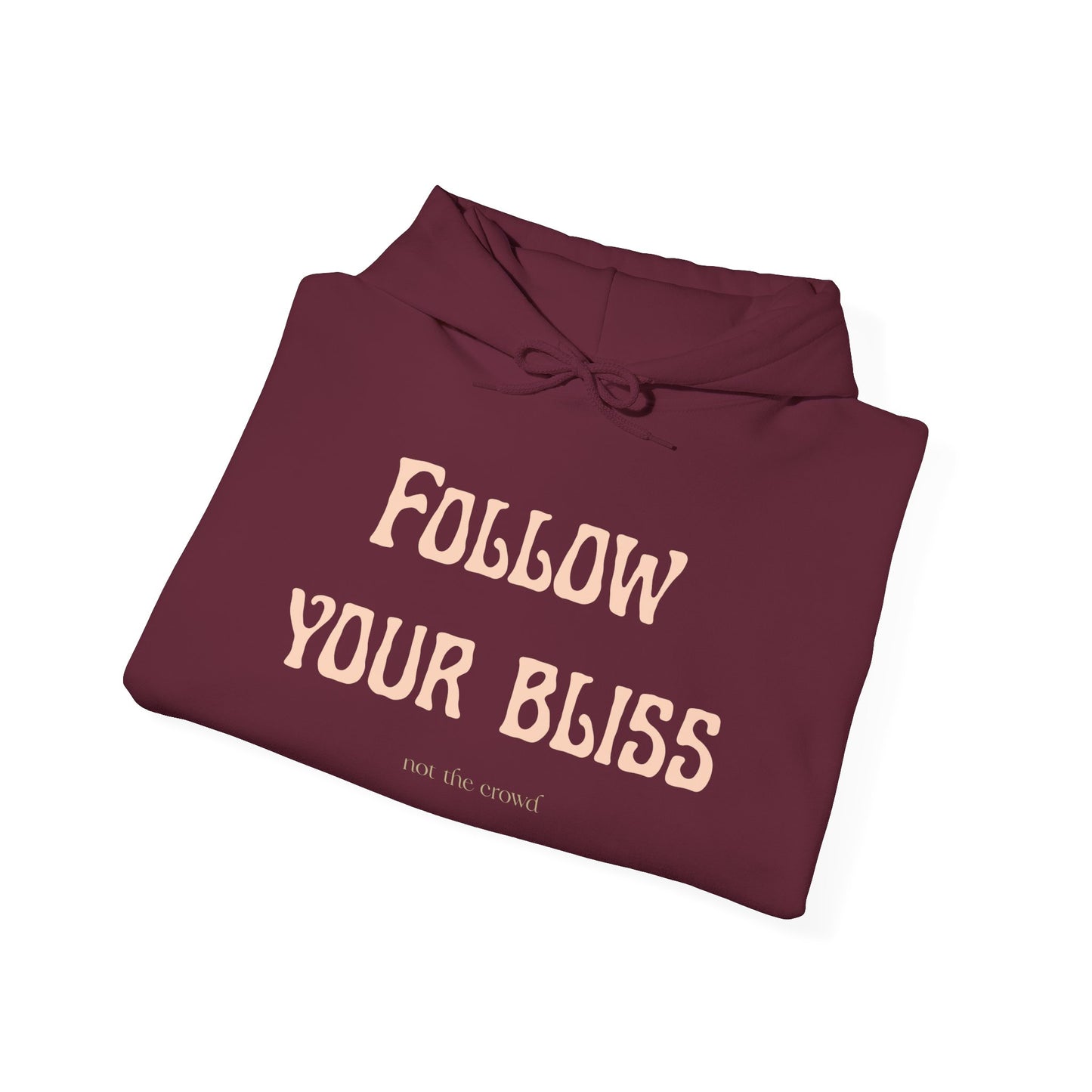 Hoodie — "Follow Your Bliss" Cozy Inspirational Pullover - Fortunate Lemon Shop