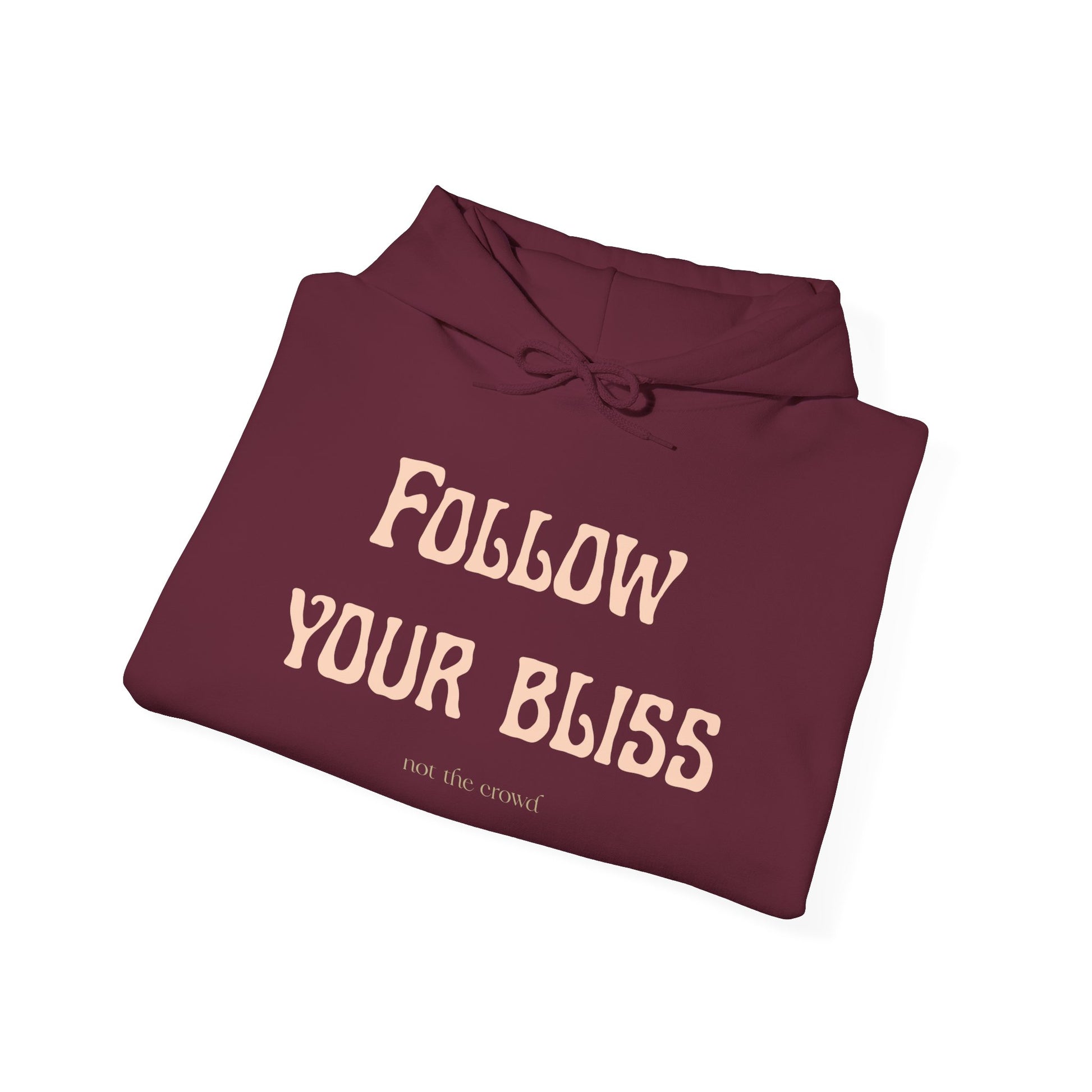 Hoodie — "Follow Your Bliss" Cozy Inspirational Pullover - Fortunate Lemon Shop