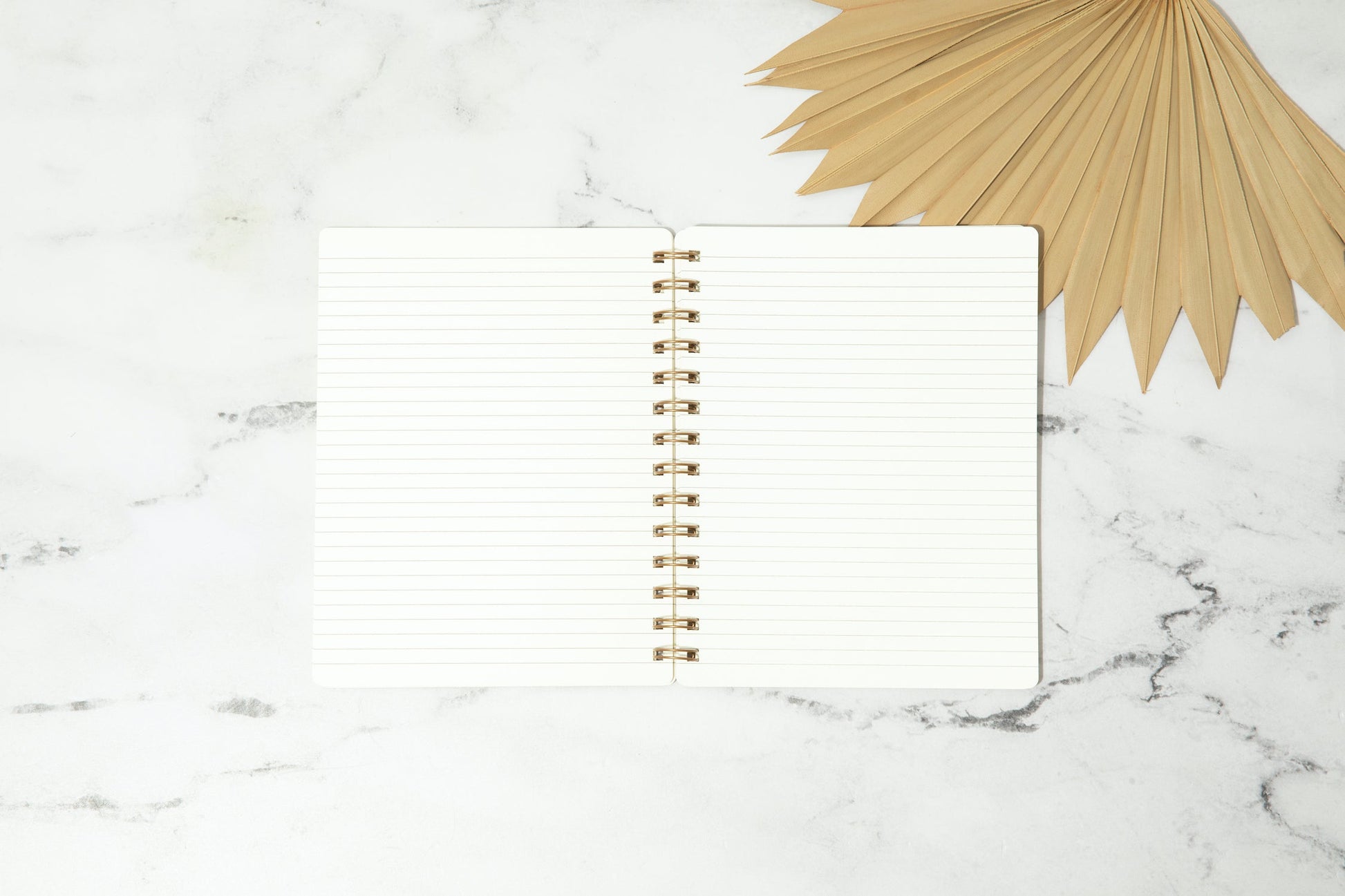 Real Queens Fix Each Other's Crowns Spiral Notebook in Blush Palette | - Fortunate Lemon Shop