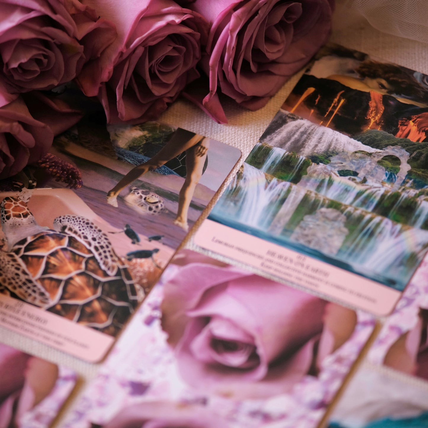 Divine Codes Oracle Deck - Fortunate Lemon Shop
